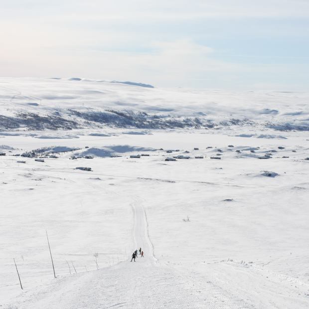 Distanču slēpošana Norvēģijā