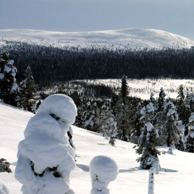 Ziemassvētki Lapzemē 2013