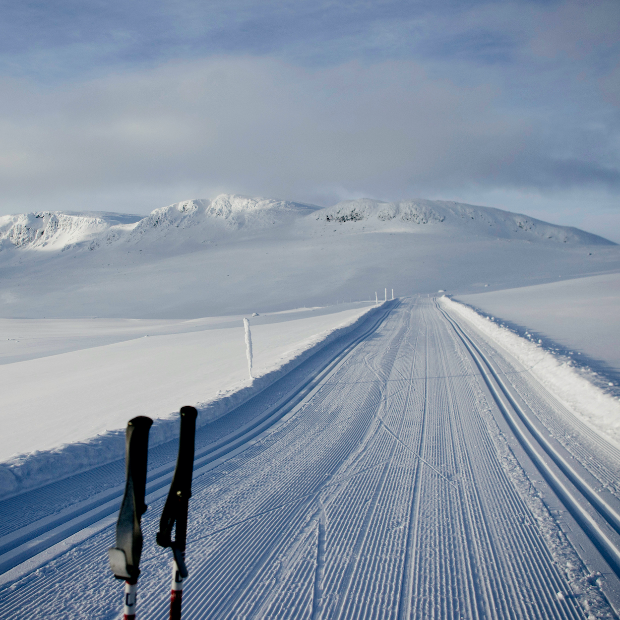 Distanču slēpošana Norvēģijā